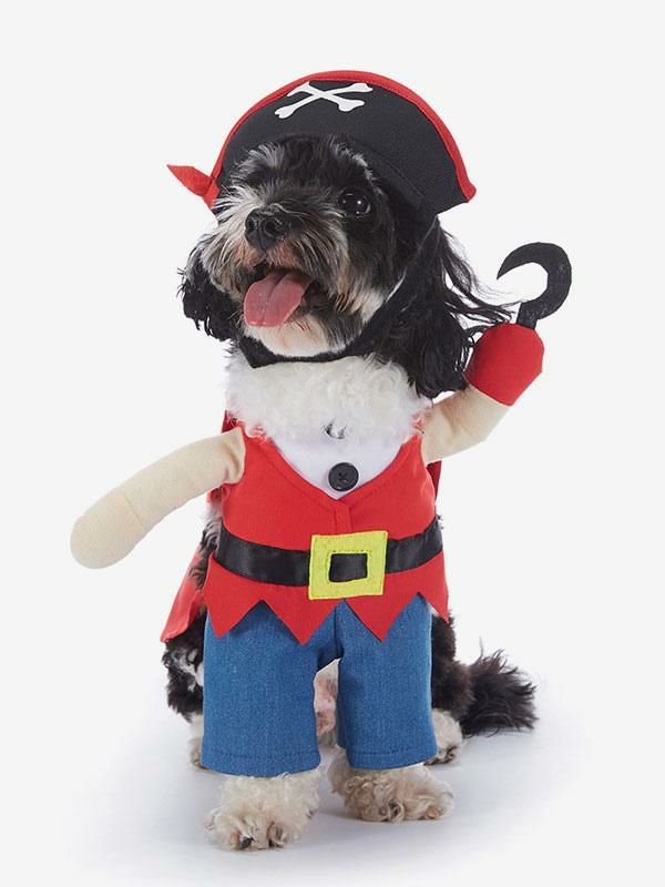 Pet Supply |  Cross-border Pet Christmas Clothes, Bat-themed Halloween Pumpkin Standing Costume, Whimsical Dog Dress-up Pet Costume Hobbies Pet Supply